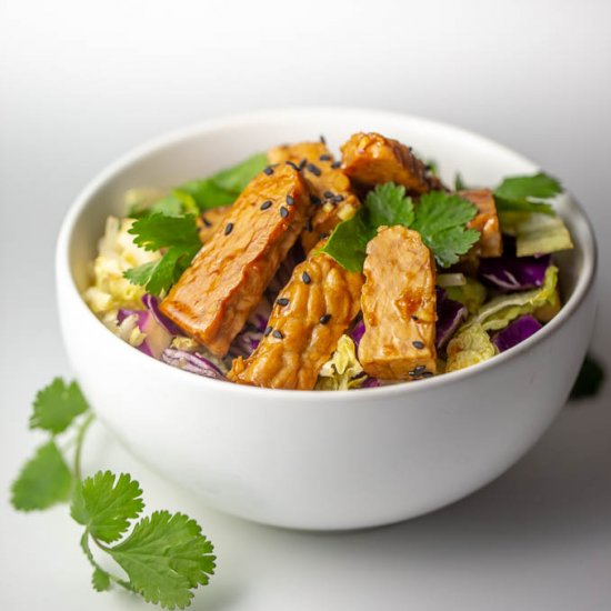 Sesame Tempeh and Cabbage Salad