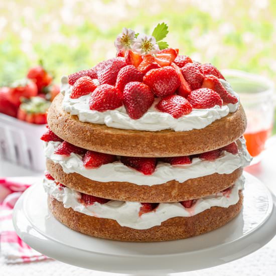 Strawberry Shortcake Cake