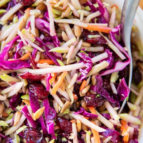 Broccoli and Red Cabbage Slaw