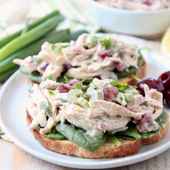 Cherry Chicken Salad Sandwich