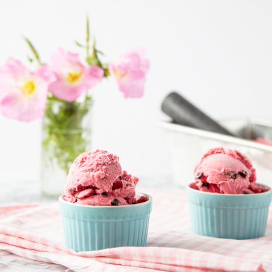 Raspberry Frozen Yogurt