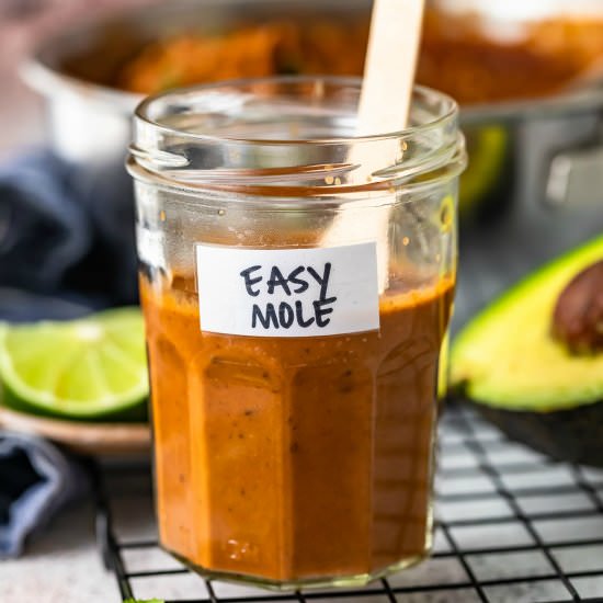 Easy Mole Sauce