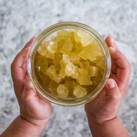 Probiotic AIP Gummy Bears