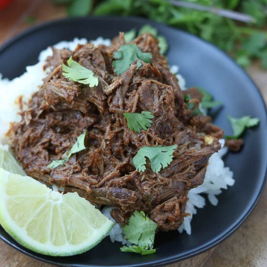 Instant Pot Mexican Shredded Beef