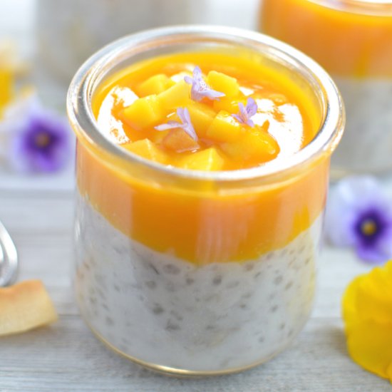 INSTANT POT TAPIOCA PUDDING