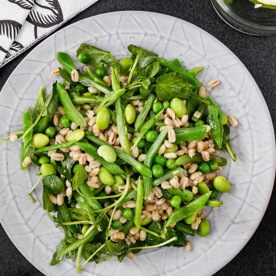 Spring greens and barley salad