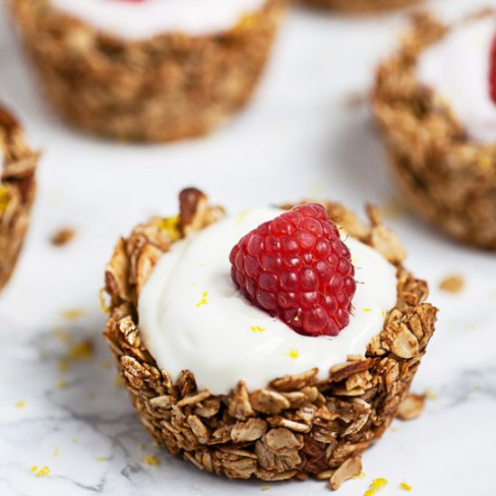 Greek Yogurt Oatmeal Cups