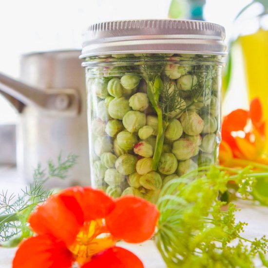 Pickled Nasturtium Seeds