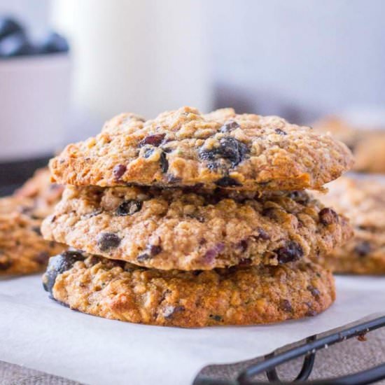 Blueberry Oatmeal Cookies