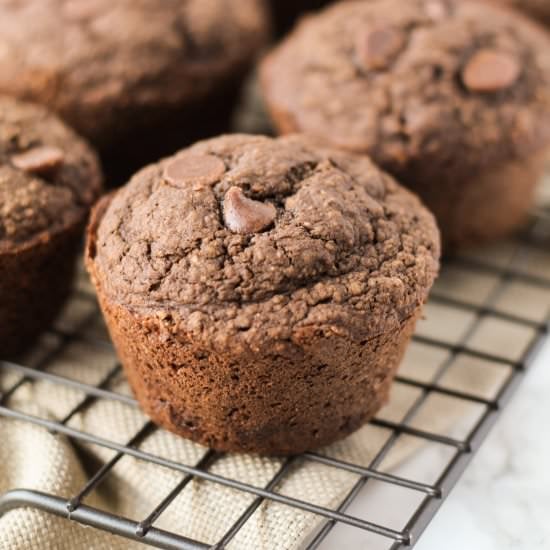 Double Chocolate Oat Muffins