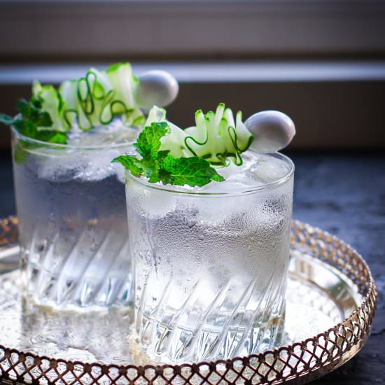 Simple Gin and Tonic Recipe