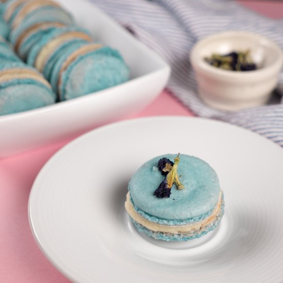 Butterfly Pea Powder Macarons