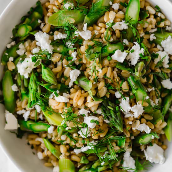 Kamut & Asparagus Salad