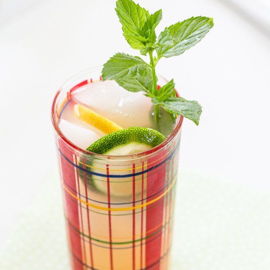 Gin Mojito