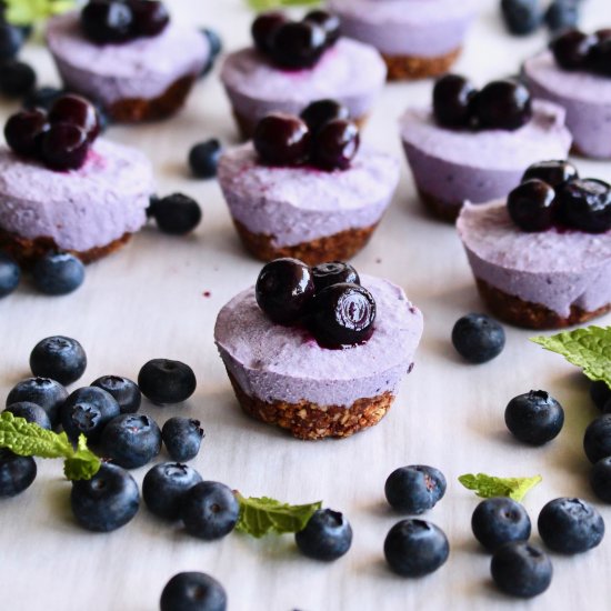 No Bake Blueberry Cheesecake Bites