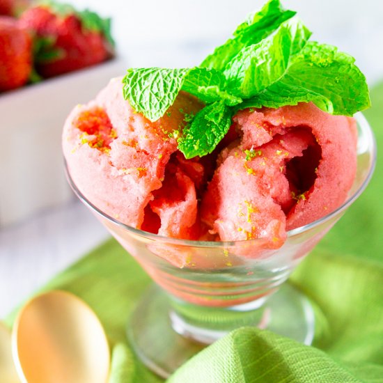 Strawberry Mojito Sorbet