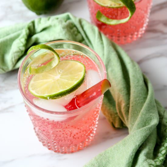 Rhubarb Gin & Tonic Cocktail