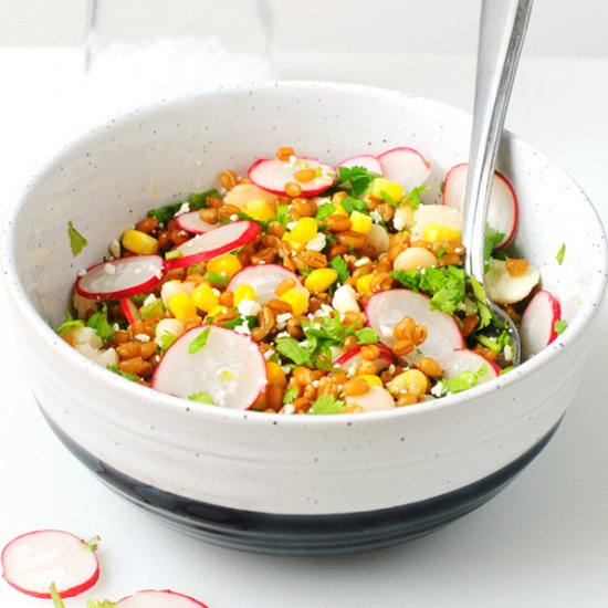 Radish and Corn Wheat Berry Salad