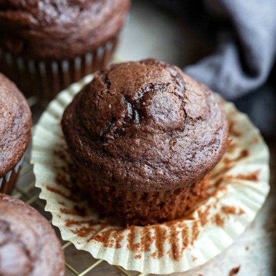 Chocolate Chocolate Chip Muffins