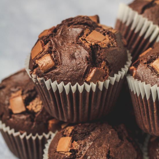 Double Chocolate Muffins