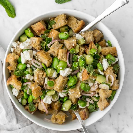 fava bean panzanella