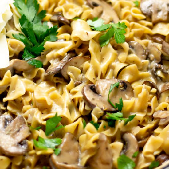 One Pot Mushroom Stroganoff