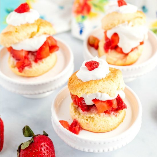 Homemade Strawberry Shortcake