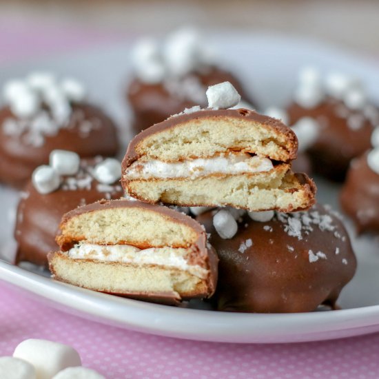 Chocolate Covered S’mores Cookies