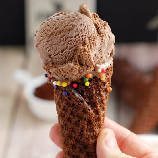 Double Malted Chocolate Ice Cream