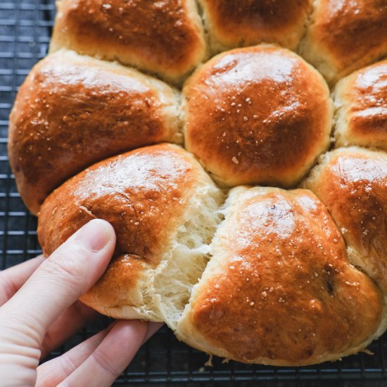 Char siu pork stuffed milk buns