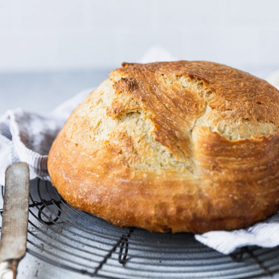 Homemade French Bread