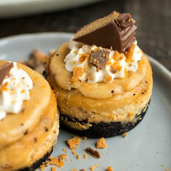 Mini Peanut Butter Cheesecakes