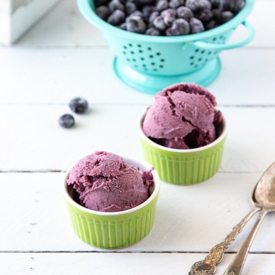 Blueberry Frozen Yogurt