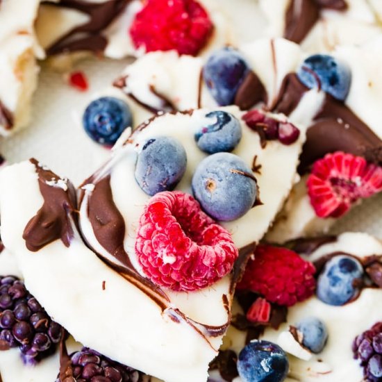 CHOCOLATE SWIRL BERRY YOGURT BARK