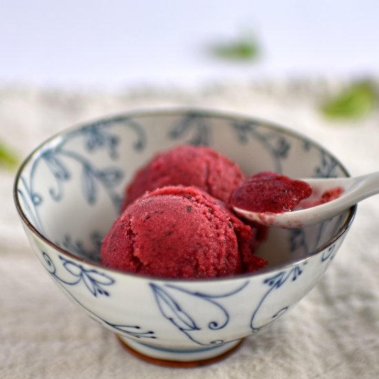 raspberry and mint sorbet