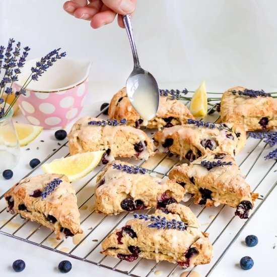 Blueberry Scones w/ Lemon + Lavende