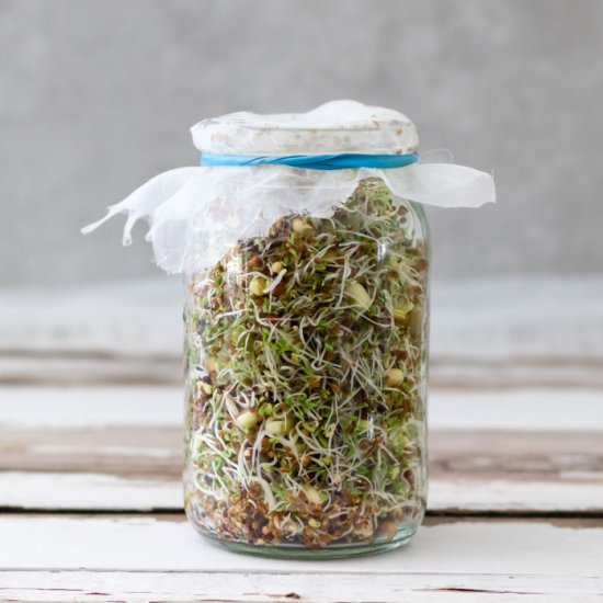 Grow Sprouts in a Jar | 3 Easy Step