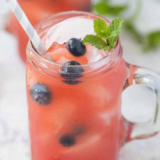 Watermelon Rum Runner