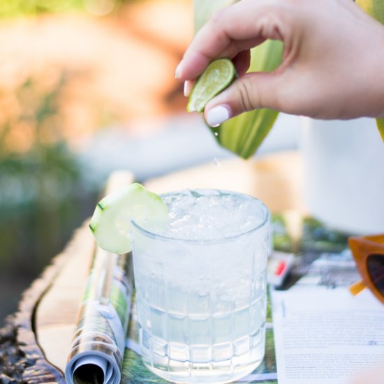 Cucumber Gin and Tonic Cocktail