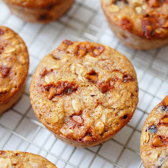 Oatmeal raisin cinnamon chip muffin