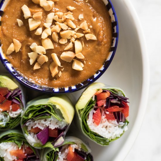 veggie spring rolls & peanut sauce