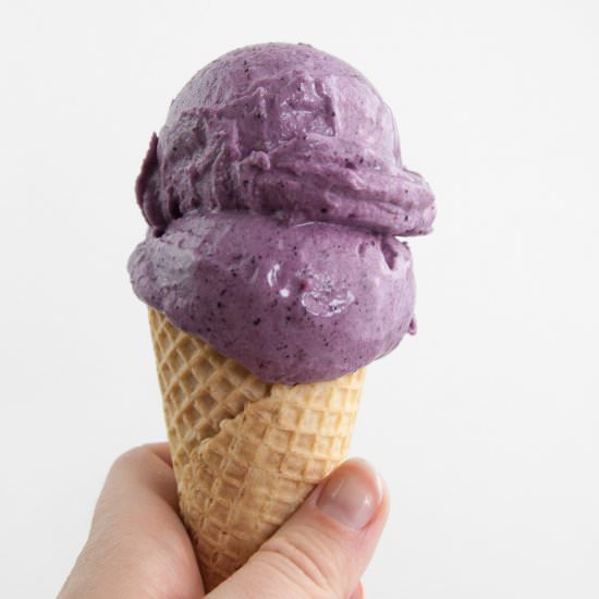 2-Ingredient Blueberry Ice Cream