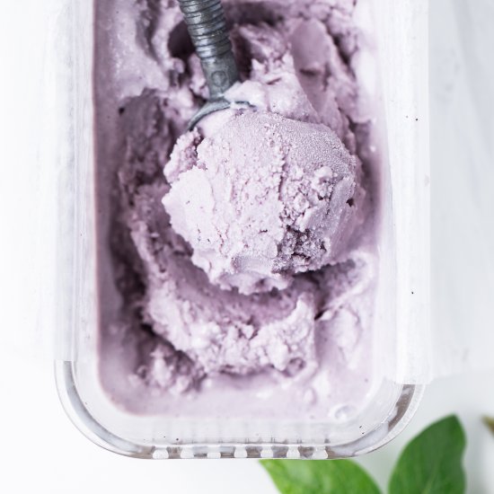 Blueberry Lemon Gelato