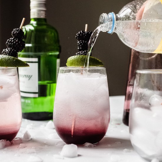 Blackberry Gin Fizz