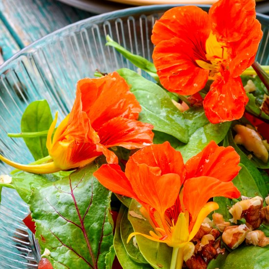 Nasturtium FlowerSalad