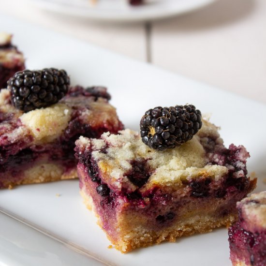 Blackberry Pie Bars