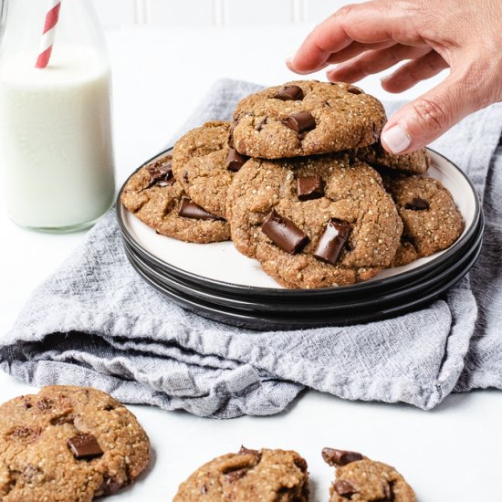 Nut-free Paleo Chocolate Chip Cooki