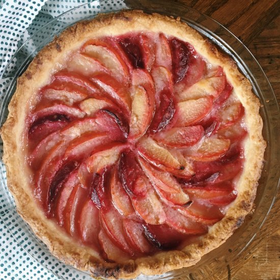 Plum Ginger Tart