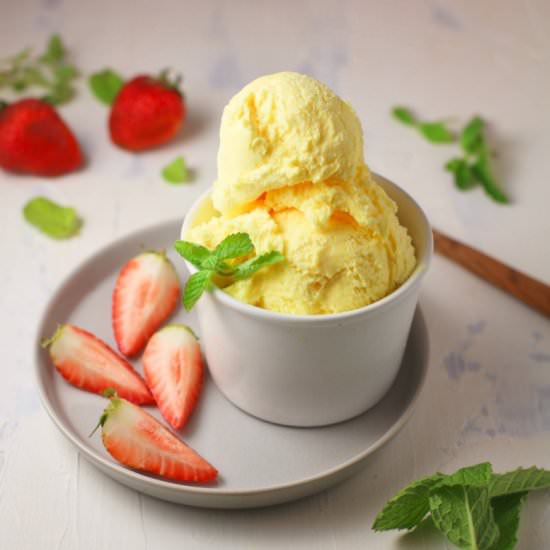 Homemade Vanilla Ice Cream