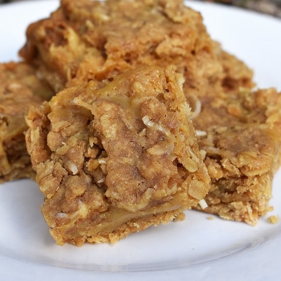 Cookie Butter Oatmeal Bars